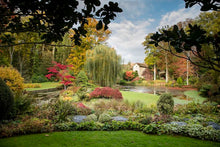 Charger l'image dans la galerie, ÉCLATS D'HISTOIRE