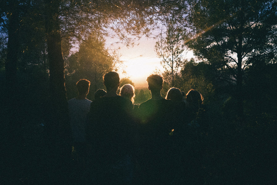 9 idées de Team Building riches en émotions en région de Fontainebleau !